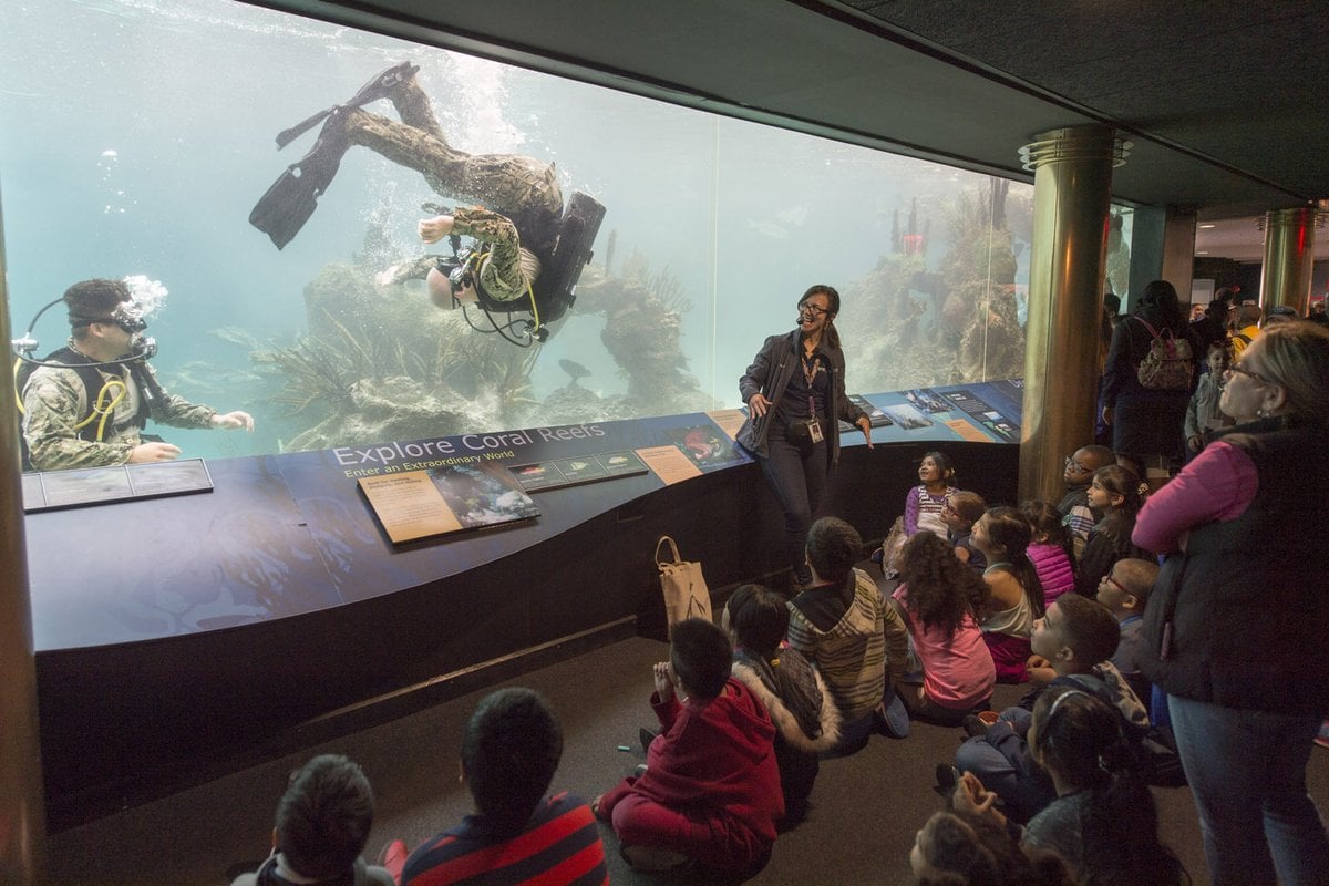 New York Aquarium - Gallery Image 3